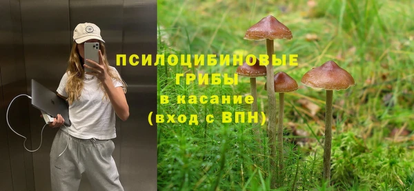 прущий лед Алексеевка