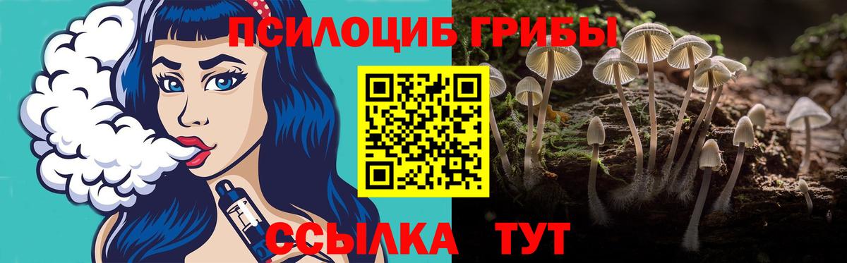 Галлюциногенные грибы Magic Shrooms  Псилоцибиновые грибы Psilocybe  Ишим  Вход с VPN 